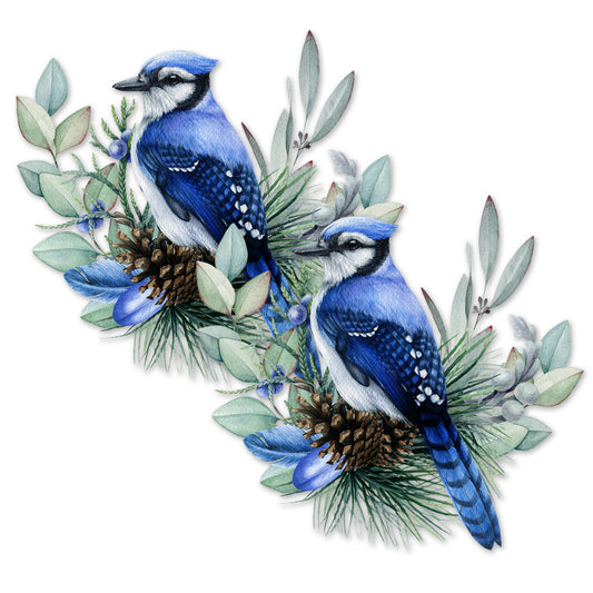 2 Pcs Premium Decals for Glass Doors & Windows (Double-Sided for Glass Only) - Blue Jay