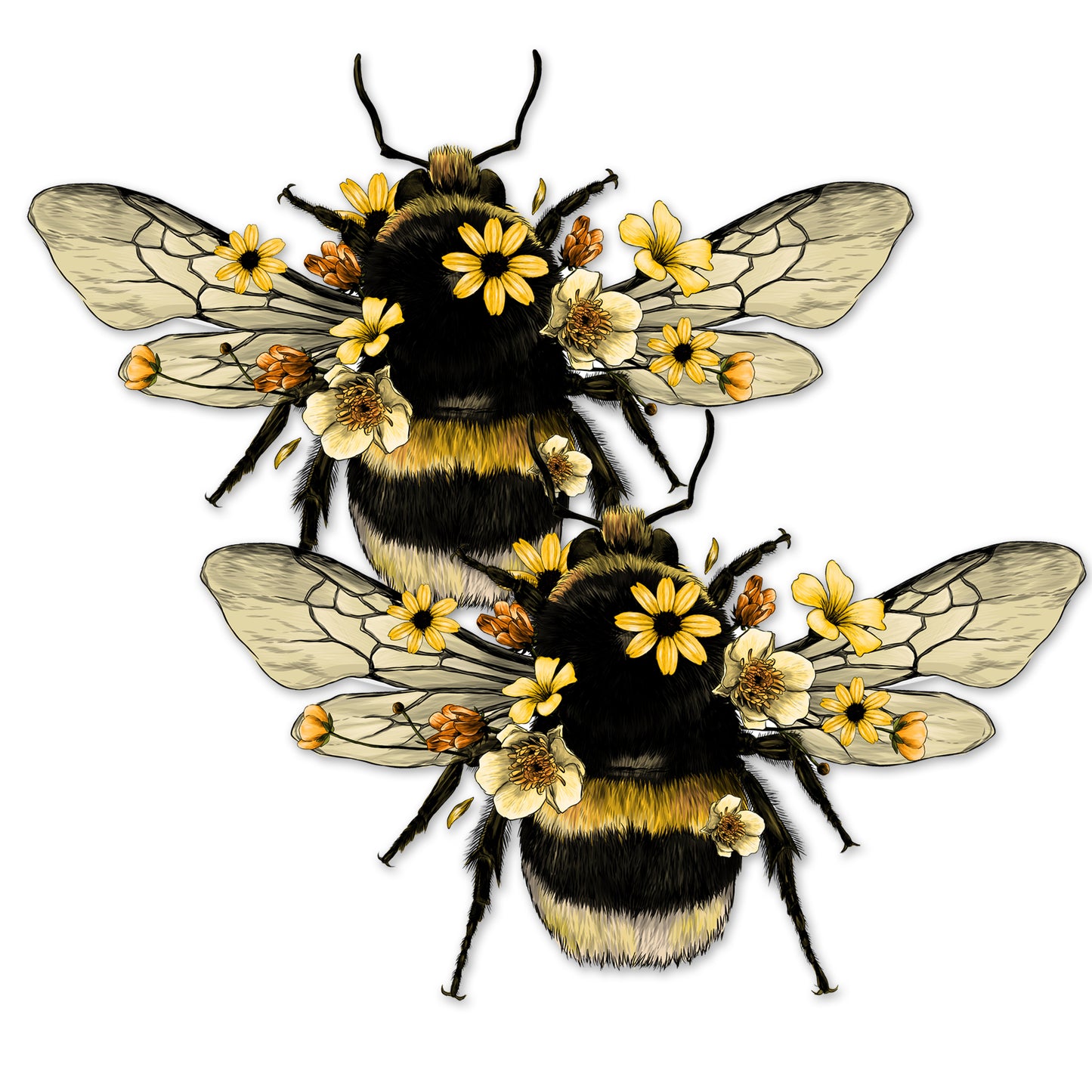 2 Pcs Premium Decals for Glass Doors & Windows (Double-Sided for Glass Only) - Bumblebee