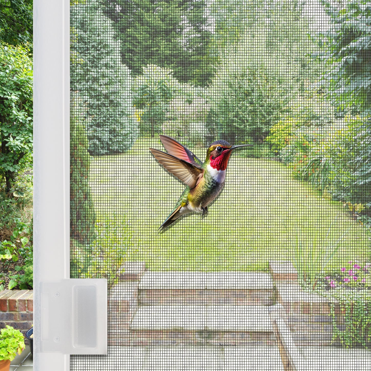 Acrylic Screen Door Magnets (Not for Retractable/Glass) - MINI Hummingbird