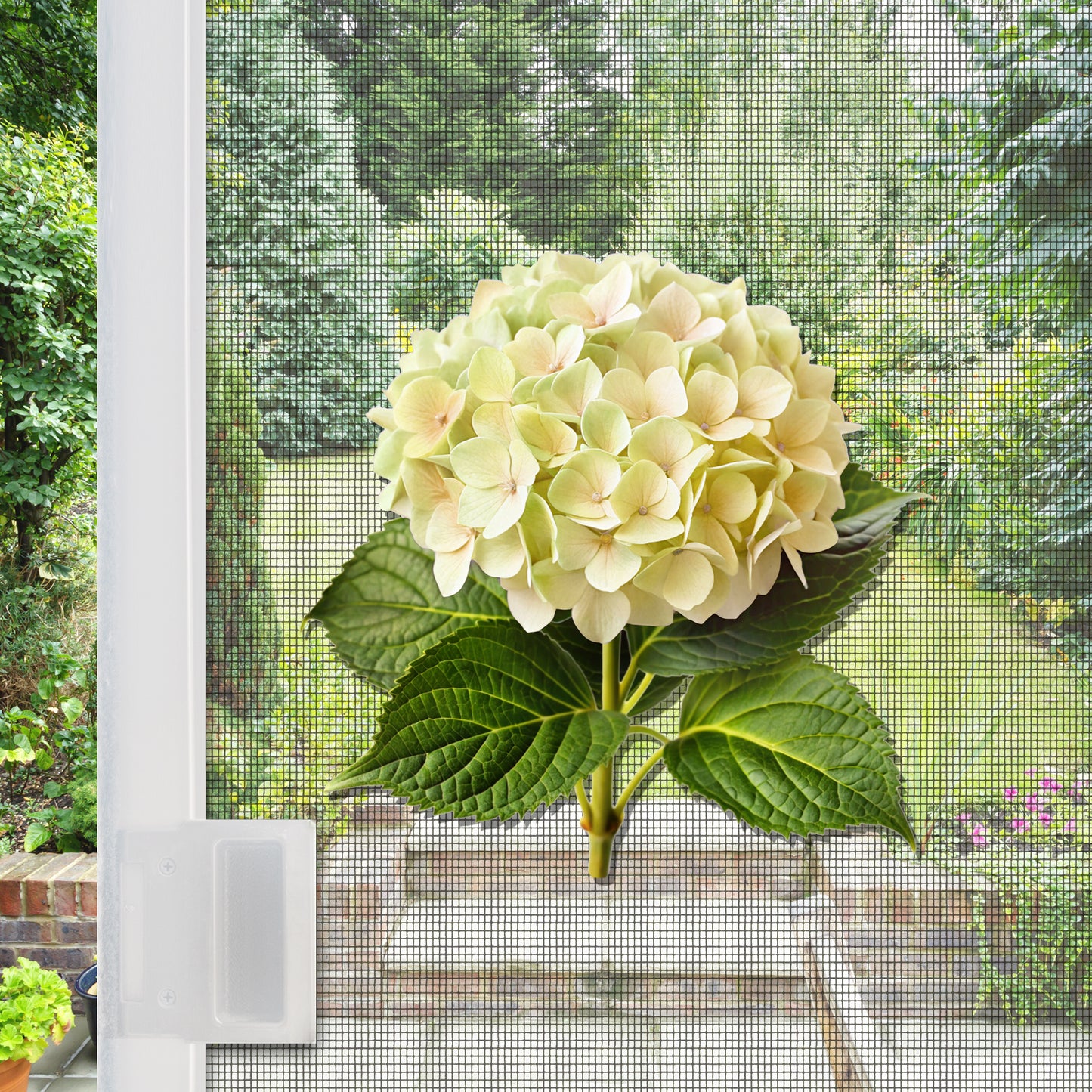 Acrylic Screen Magnets for Screen Doors & Windows (Set of 2) - Hydrangea