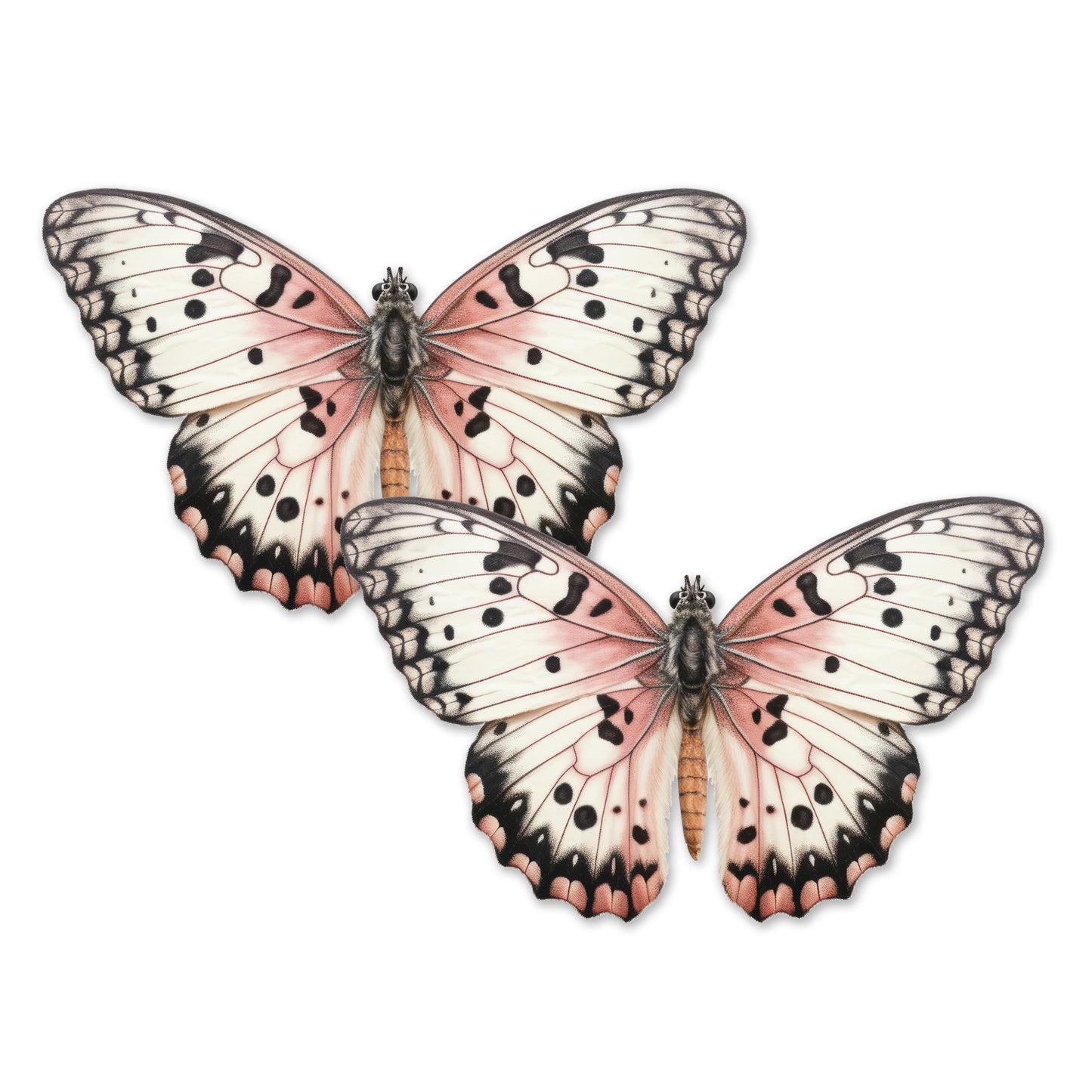 Flexible Screen Door Magnets (Not for Retractable/Glass) - White Butterfly