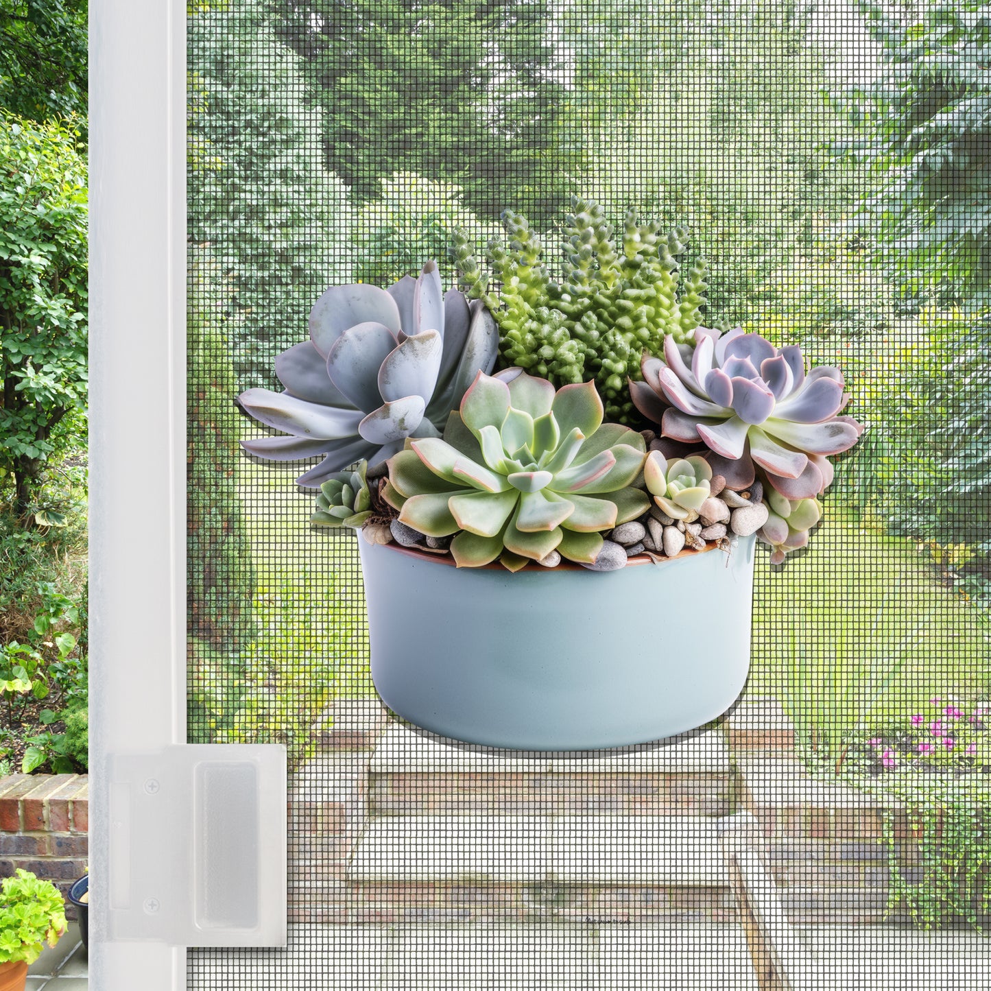 CLEARANCE Acrylic Screen Door Magnets (Not for Retractable/Glass) - (Small) Succulents