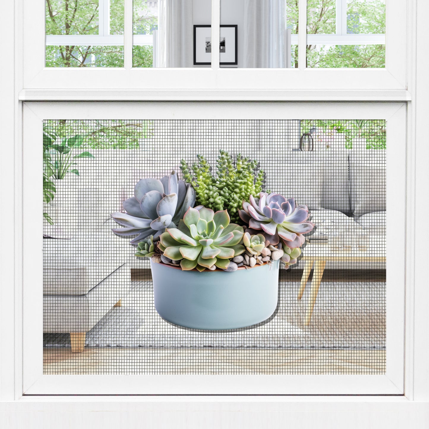 CLEARANCE Acrylic Screen Door Magnets (Not for Retractable/Glass) - (Small) Succulents