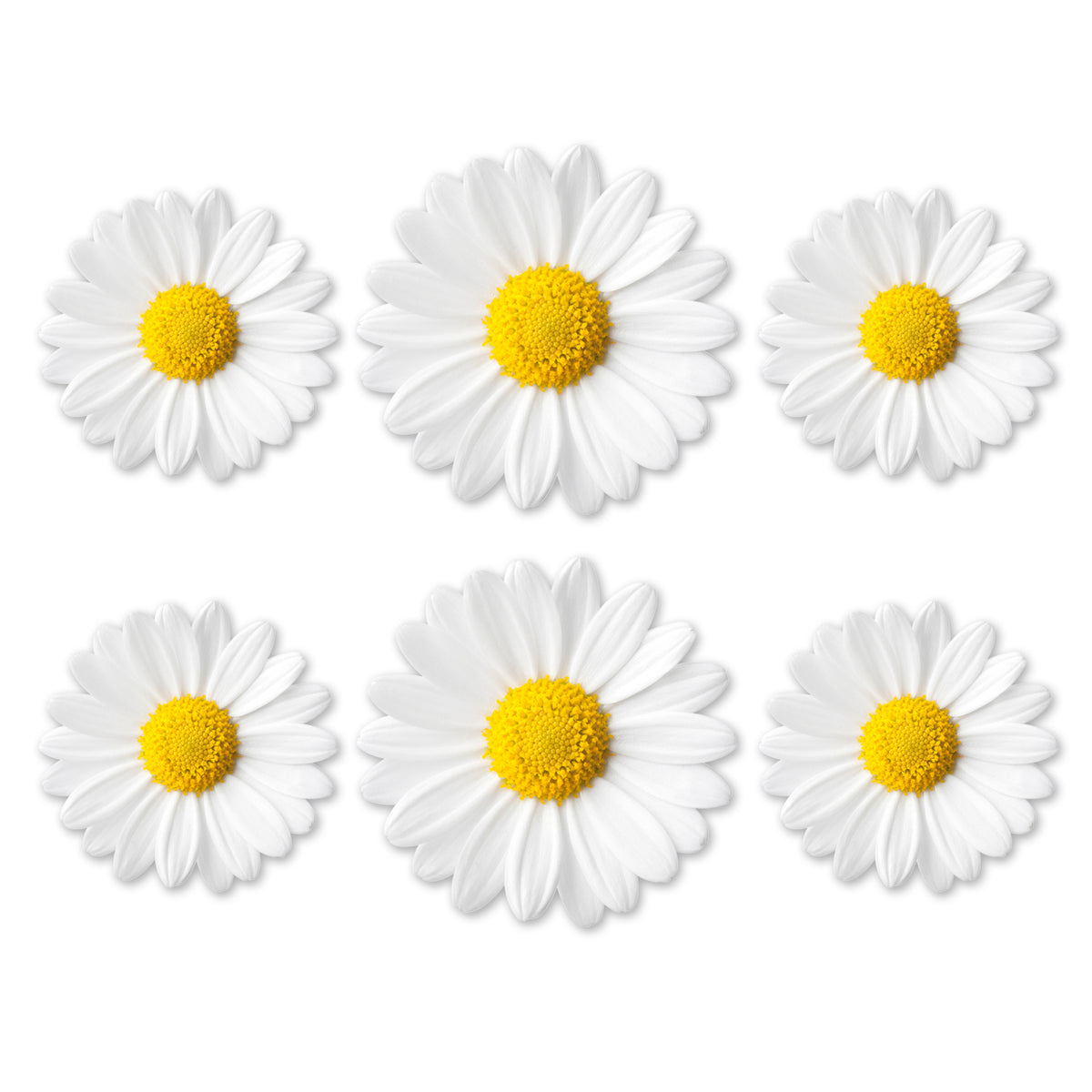 Flexible Screen Door Magnets (Not for Retractable/Glass) - Daisy Trio