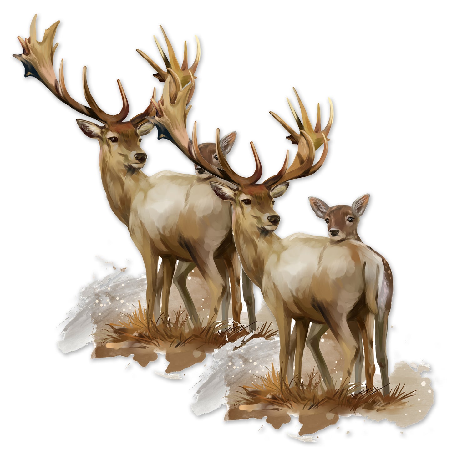 Decorations for Screen Windows & Doors (Set of 2) - (Small) Deer