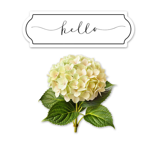 2 Pcs Premium Decals for Glass Doors & Windows (Double-Sided for Glass Only) - Hello + Hydrangea