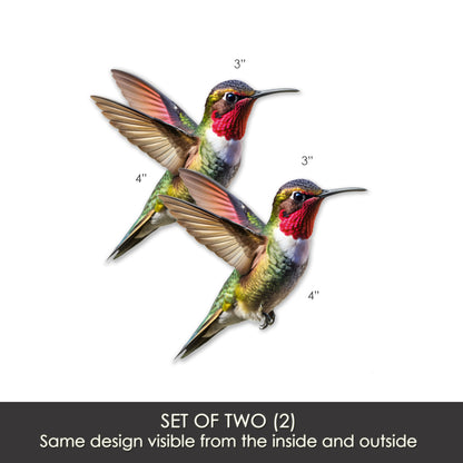 Decorations for Screen Windows & Doors (Set of 2) - MINI Hummingbird