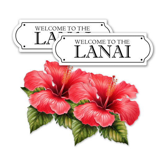 PRE-ORDER Acrylic Screen Magnets for Screen Doors & Windows (Set of 4) - Lanai + Hibiscus