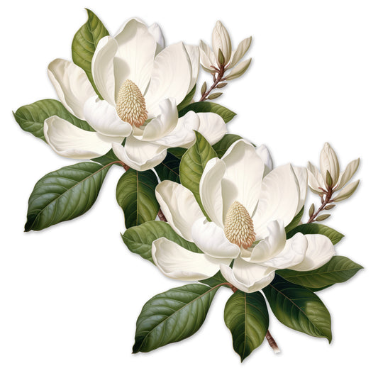 Decorations for Screen Windows & Doors (Set of 2) - Magnolia