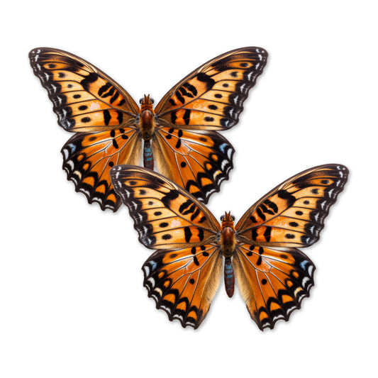 Decorations for Screen Windows & Doors (Set of 2) - Orange Butterfly