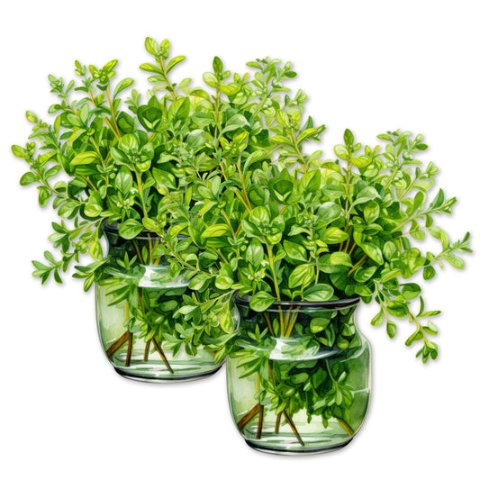 Decorations for Screen Windows & Doors (Set of 2) - (Small) Green Plant