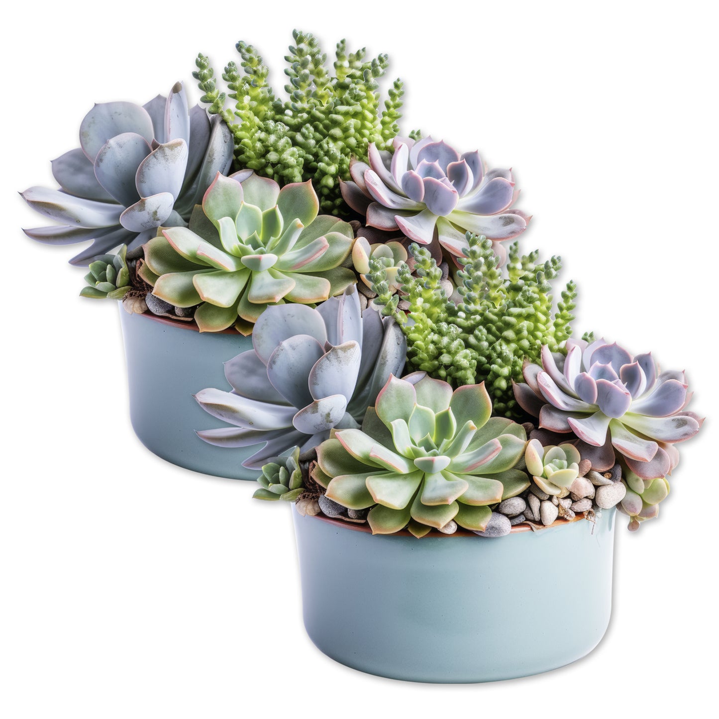 Decorations for Screen Windows & Doors (Set of 2) - (Small) Succulents