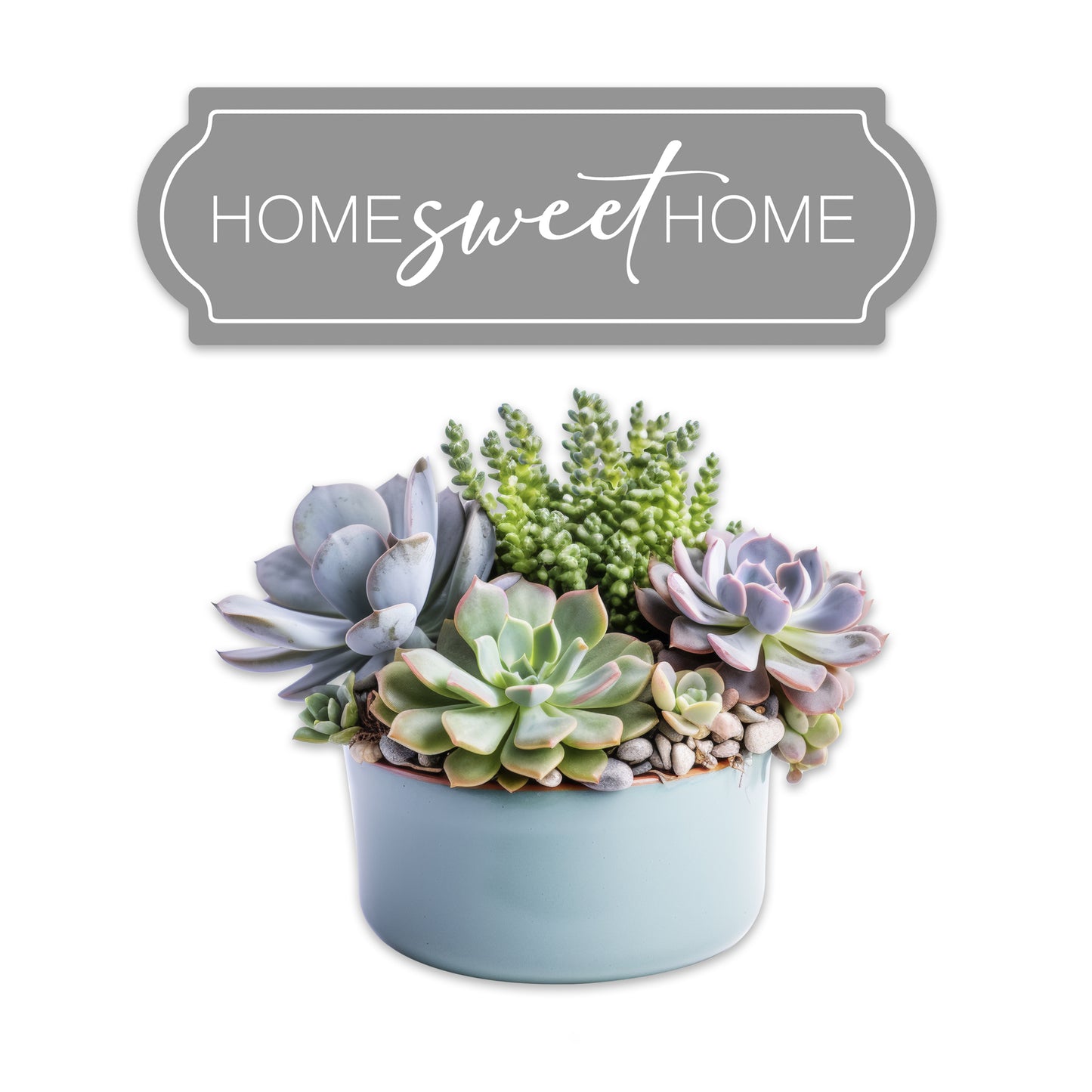 Decorations for Screen Windows & Doors (Set of 4) - Home Sweet Home + (Small) Succulents