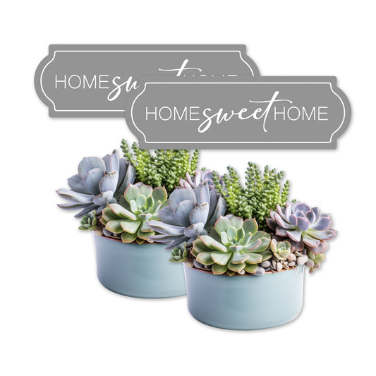 Decorations for Screen Windows & Doors (Set of 4) - Home Sweet Home + (Small) Succulents